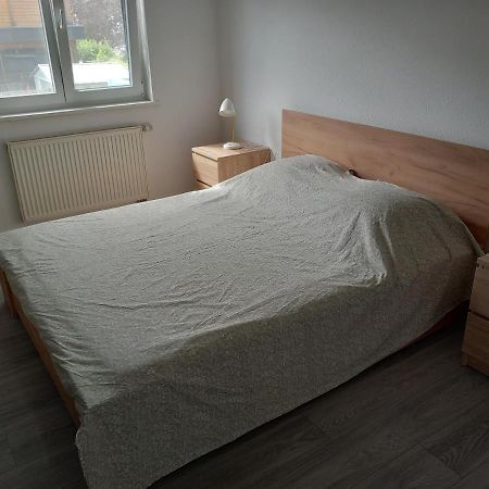 Appartement 3 Pieces Avec Balcon Rhinau 外观 照片