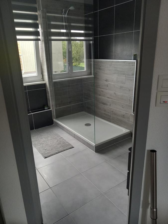 Appartement 3 Pieces Avec Balcon Rhinau 外观 照片