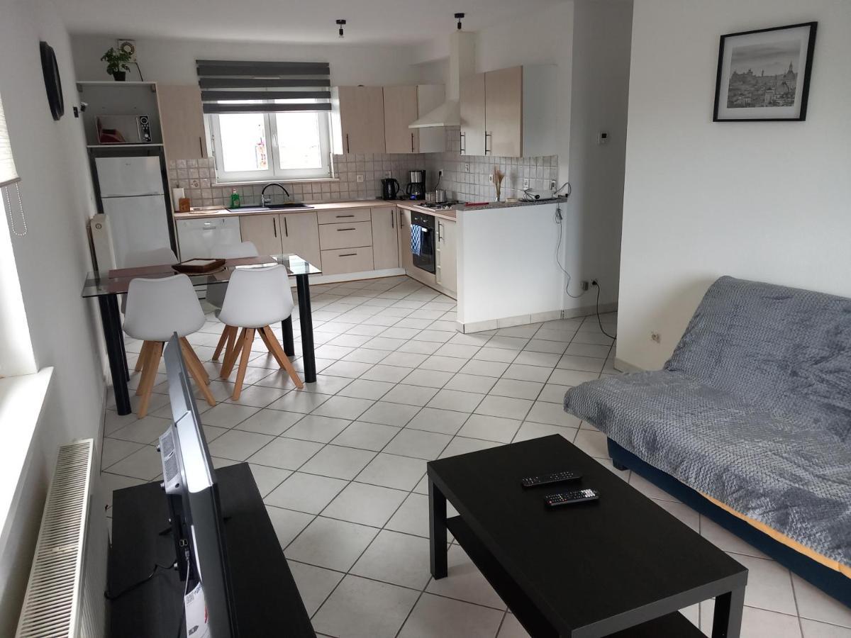 Appartement 3 Pieces Avec Balcon Rhinau 外观 照片